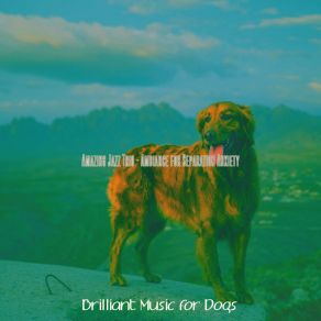 Download track Divine Jazz Guitar Trio - Vibe For Dogs Brilliant Music For Dogs