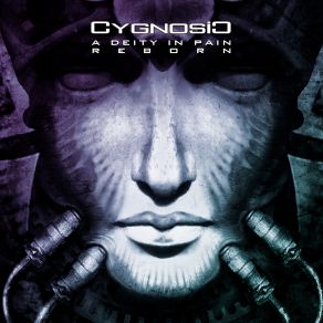 Download track In The Lag Of Time CygnosiC