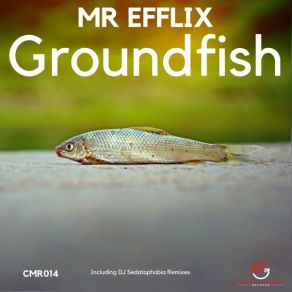 Download track Elements (DJ Sedatophobia Remix) Mr. Efflix