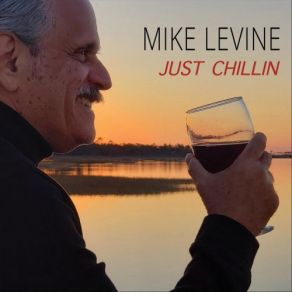 Download track Soul Gumbo Mike Levine