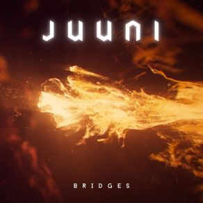 Download track Crown Juuni