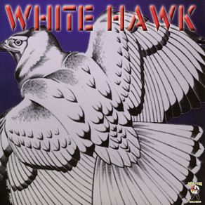 Download track Ponca Flag Song White Hawk