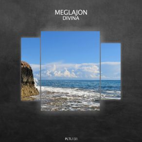 Download track La Selva Meglajon