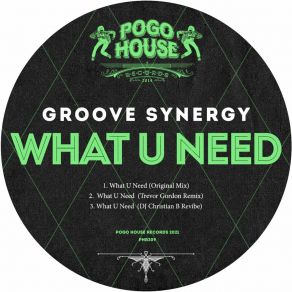 Download track What U Need (DJ Christian B Revibe) Groove SynergyDJ Christian B