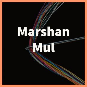 Download track Más Que Un Amigo Marshan Mul