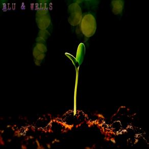 Download track Brand New- Blu&Wells T. R. WellsTristen Wells, Blu Heffner