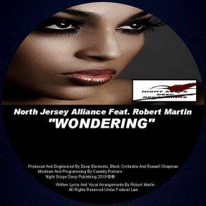 Download track Wondering (Dance Journey Vocal Mix) Robert Martin