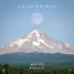 Download track Wayazo (Kvoox Remix) CatatoniqueCharls