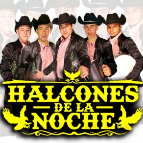 Download track Me Caí De La Nube Los Halcones De La Noche