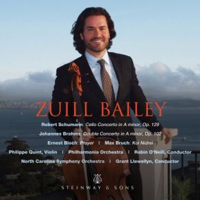 Download track Double Concerto In A Minor, Op. 102- II. Andante (Live) Zuill Bailey