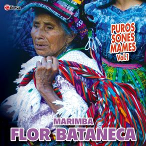 Download track Son De Pancho Marimba Flor Bataneca