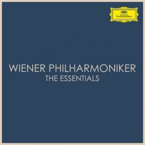 Download track Eine Alpensinfonie, Op. 64, TrV 233: Am Wasserfall - Erscheinung (Live From Grosser Saal, Musikverein, Vienna / 2000) Wiener PhilarmonikerVienna, Christian Thielemann