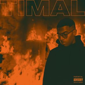 Download track Dans La Ville Timal