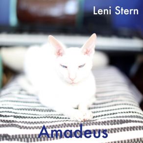 Download track Amadeus Leni SternLeo Genovese, Mamadou Ba, Alioune Faye