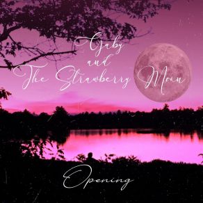 Download track The Spaceship Strawberry Moon