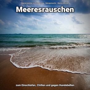 Download track Zeit In Der Natur Meeresrauschen