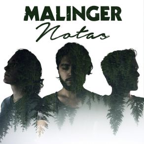 Download track La Música En Mi Interior Malinger