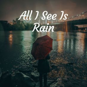 Download track Nature Rain, Pt. 4 24H Rain Sounds