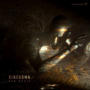 Download track Now What? Sinegoma