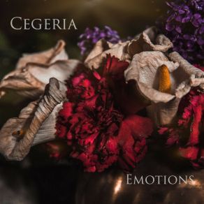 Download track Emotions Cegeria