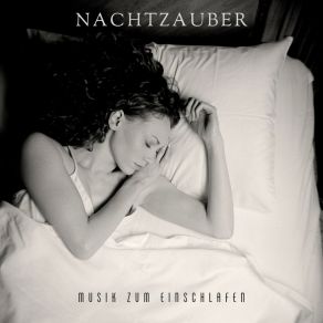 Download track Nacht Der Ruhe Musik Zum Einschlafen