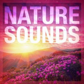 Download track Sounds From A Field: Larks And Crickets Nature Sounds Nature Music