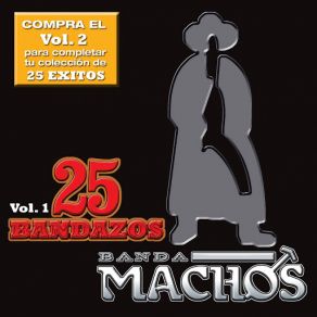 Download track Chaparra De Mi Amor Banda Machos