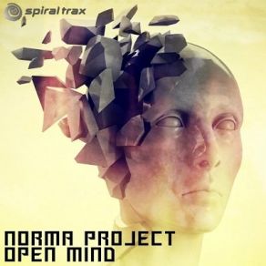 Download track Feel The Light (Norma Project Remix) Shogan, Norma Project