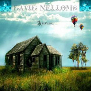 Download track Aurum (Original Mix) David Nelloms