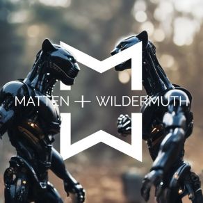 Download track Keep On Fighting (Edit) Matten & Wildermuth