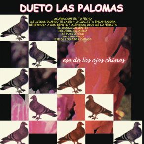 Download track Recuerdas Morena Dueto Las Palomas