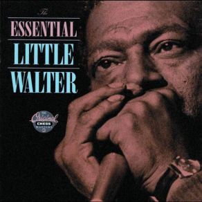 Download track It's Too Late Brother Little Walter