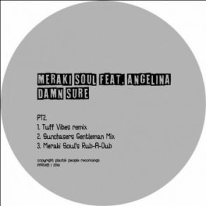 Download track Damn Sure (Rub A Dub Mix) Angelina, Meraki Soul