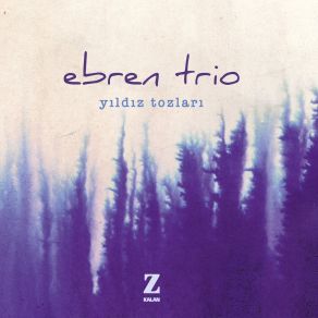 Download track Bir Varmış Bir Yokmuş Ebren Trio