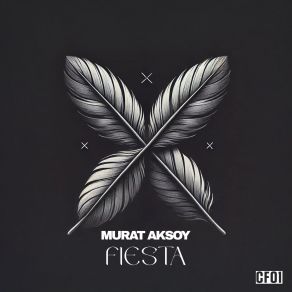 Download track Fiesta (Radio Mix) Murat Aksoy