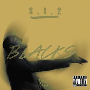 Download track Fly Home The Black