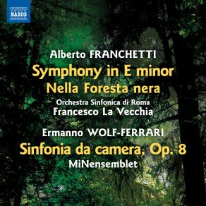 Download track Sinfonia Da Camera In B-Flat Major, Op. 8 I. Allegro Moderato Francesco La Vecchia