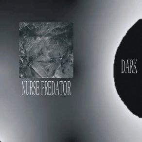 Download track The Ghost Of A Spider Eaten From Within (Original Mix) Nurse Predator