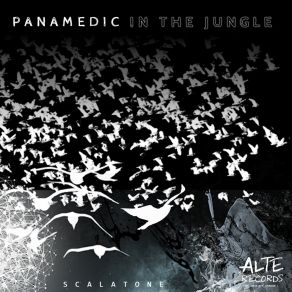 Download track Panamedic In The Jungle Scalatone