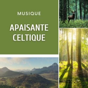 Download track Musique Apaisante Celtique Club De Détendre Tibétain