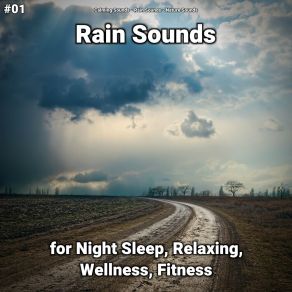 Download track Soothing Sounds To Help You Sleep All Night Nature Sounds