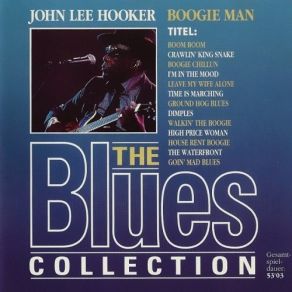 Download track Wandering Blues John Lee Hooker