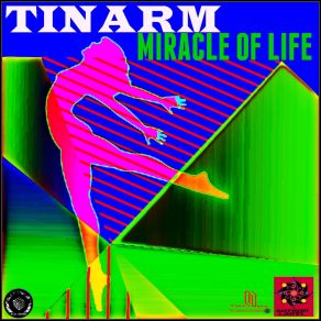 Download track The Miracle Of Life (Thavha Edm Mix) Tinarm