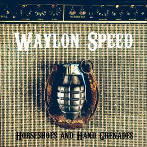 Download track Under The Cottonwoods Waylon Speed