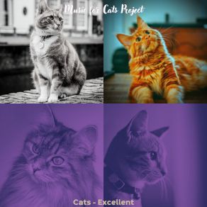 Download track Fabulous (Sleeping Cats) Music For Cats Project