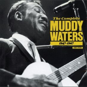 Download track Come Home Baby, I Wish You Would Muddy Waters