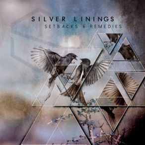 Download track Feathers Silver Linings