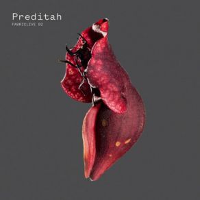 Download track Preditah-Fruit Burst Preditah