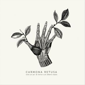 Download track Caos Carmona Retusa