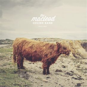 Download track Well Plaid MacLeod